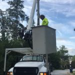  professional tree trimming