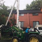 tree trimming in South Carolina