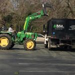 tree trimming lexington