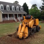 local tree trimming companies