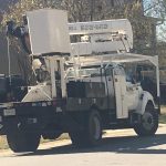 tree pruning lexington