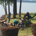 tree trimming in Newberry